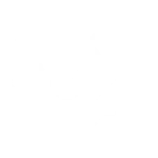 icône